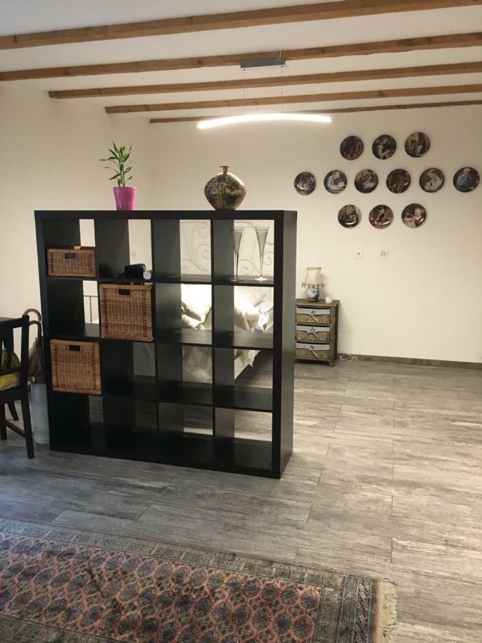 Studio Tati Appartamento La Neuveville Esterno foto